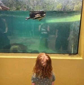 Meet your Posher, Wendy